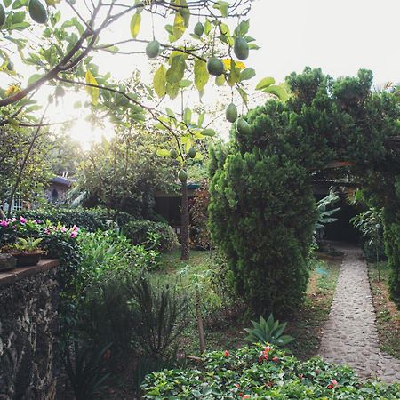Hotel La Posada Del Valle (Adults Only) Tepoztlan Exterior photo
