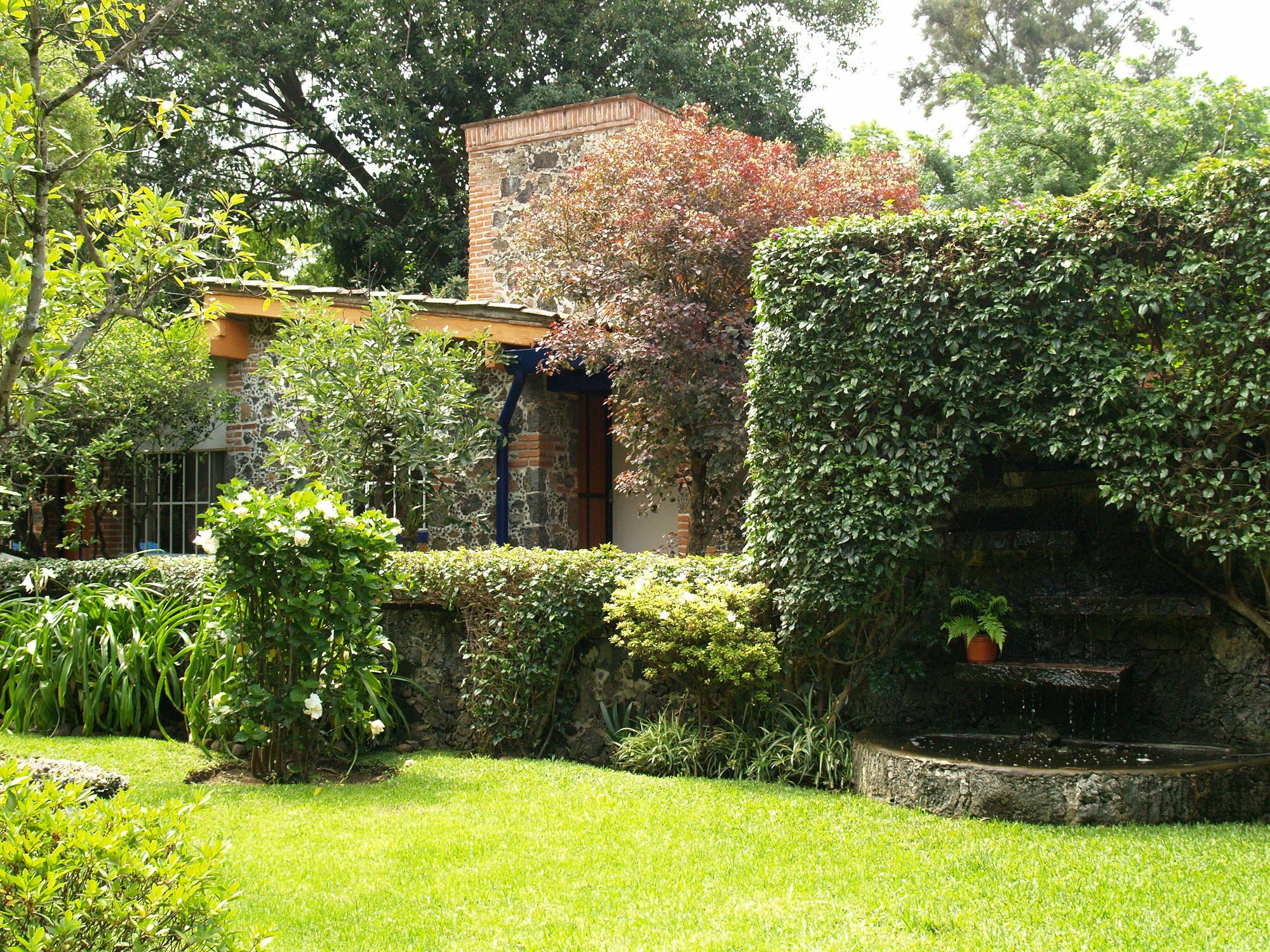 Hotel La Posada Del Valle (Adults Only) Tepoztlan Exterior photo